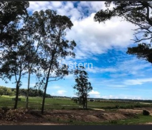 Imagen 6 de 13 de Venta De Lotes, Camino Lussich, Maldonado.
