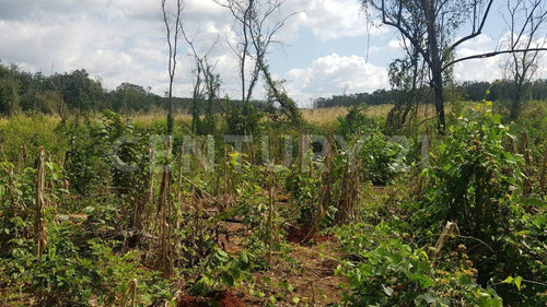 Terreno En Tekax 120 Hectáreas Propiedad Privada. Tekax Yucatán.