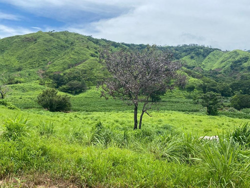 Oportunidad De Inversión En Chiapas: Rancho De 10 Hectáreas Con Documentación Al Día Y Plusvalía En Crecimiento
