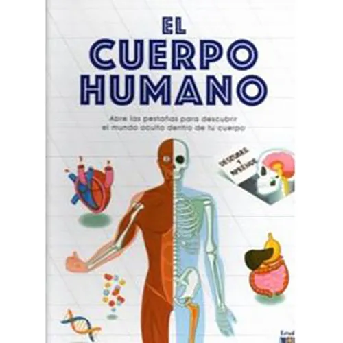 El Cuerpo Humano