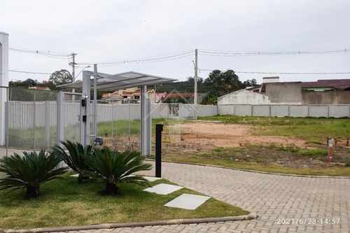 Imagem 7 de 22 de Terreno À Venda No Bairro Ipanema - Porto Alegre/rs - O-25681-42358