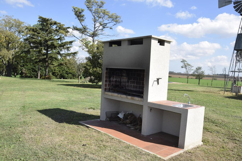 Venta Campo Arrecifes