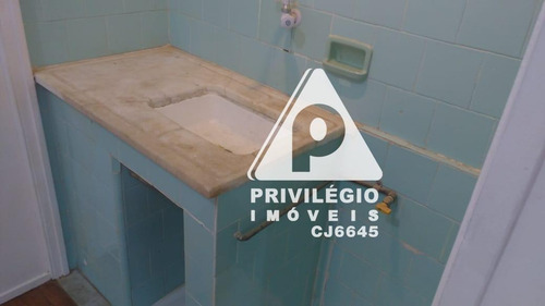 Apartamento Para Aluguel, 1 Quarto, Laranjeiras - Rio De Janeiro/rj - 29489