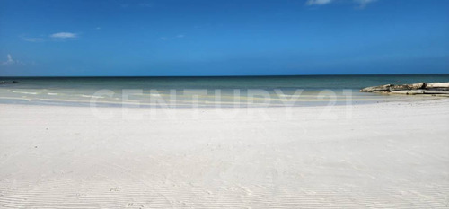 Venta Lote Para Desarrollar Hotel En El Corazon De La Isla Holbox P4068