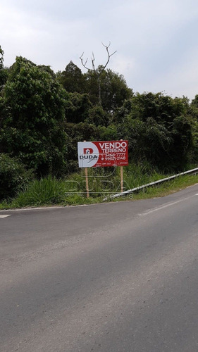 Imagem 1 de 2 de Terreno Comercial - Sao Simao - Ref: 32591 - V-32588
