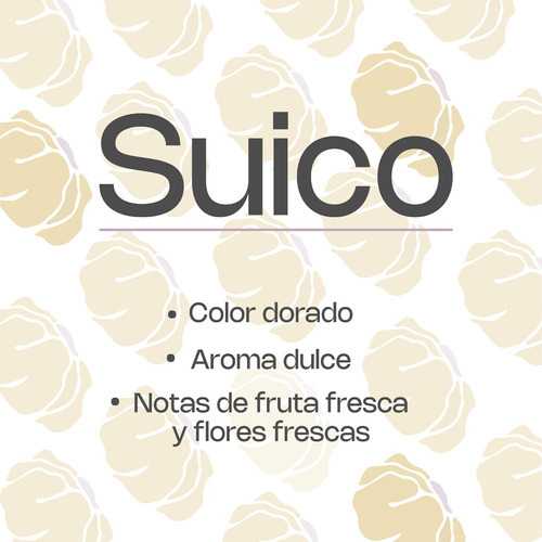 Kombucha Botánica Suico Booch 354 Cc