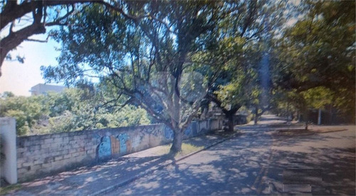 City Boaçava - Frente A Praça Barão Pinto Lima - 353-im80953