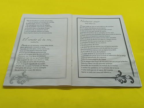 Libro Los Mejores Poetas De La Historia (Usado)