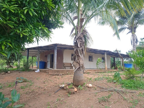 Imagen 8 de 12 de Granja Venta Cabudare En Venta, Piedad Sur, Estado Lara