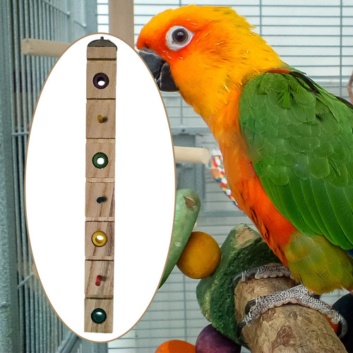 Pájaros Loro Masticar Juguetes Loro Jaula Suministros