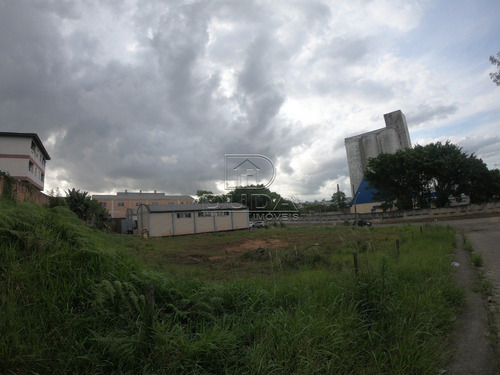 Imagem 4 de 11 de Terreno - Sao Luiz - Ref: 29513 - V-29511