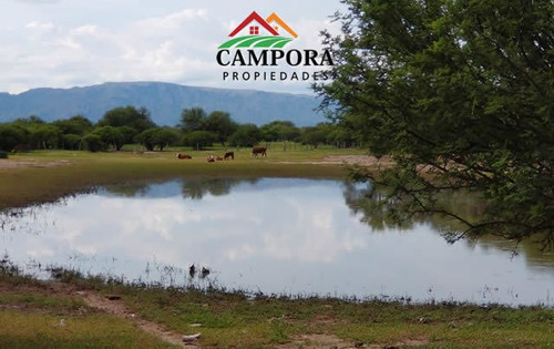 Imagen 7 de 10 de Campo A La Venta Ganadero En San Luis