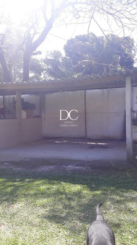 Imagem 7 de 24 de Sitio - St00017 - 70179267