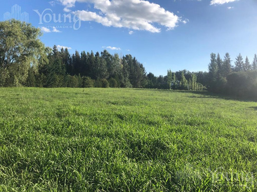 Imagen 1 de 19 de Retazado Terreno Proyecto Aprobado - Campos De Roca L