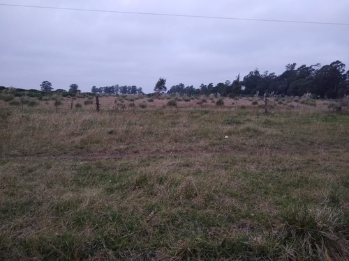 Imagen 5 de 6 de Latorre Prop. Vende 21 Hectareas - Cerca De La Ruta 2 - Camet