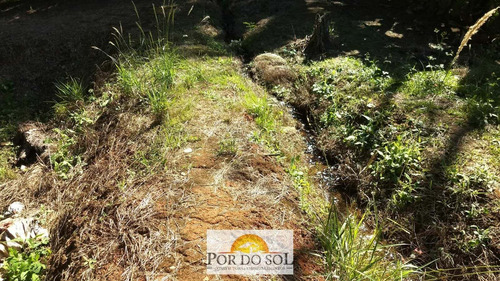 Imagem 12 de 13 de Chácara À Venda Em Pinhalzinho/sp - 0236