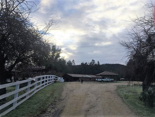 Cauquenes Viñas Y Forestal, 2 Tranques (70047)