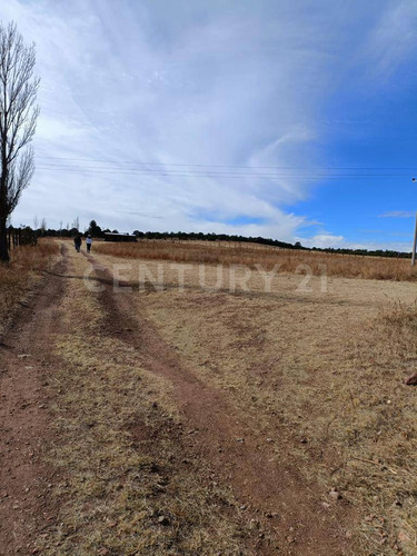 Rancho En Venta Cd. Guerrero, Chihuahua.