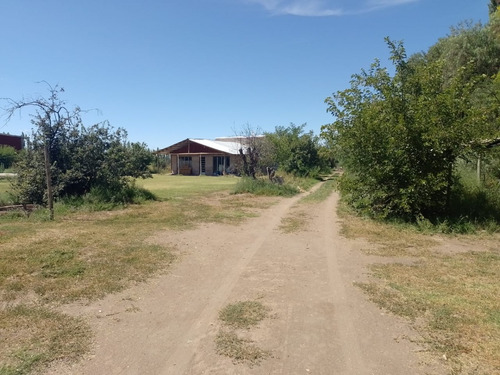 Imagen 10 de 19 de Venta De Casa Con Terreno De 1/2 Hectárea - San Rafael Mendoza