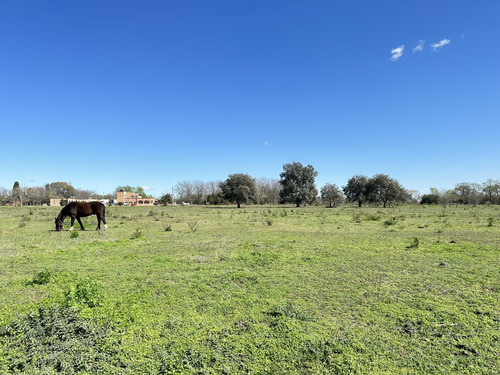 Venta Terreno En Lobos, Lotes De Casi 1ha