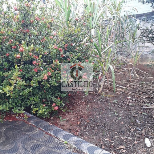 Imagem 13 de 15 de Terreno Com Casas Antigas A Venda Área De 1.397m2 Na Vila Ivone - Mo23052