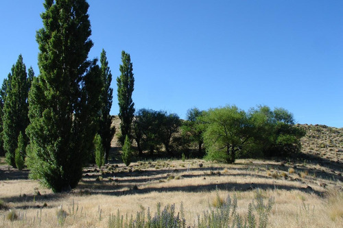 Imagen 11 de 30 de Campo En Venta Zona Alumine, Neuquén