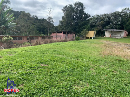 Imagem 17 de 30 de Maravilhoso Sitio Com 72.000 M² Com Lago E Nascente À Venda Em São Lourenço Da Serra - St00022 - 69516737