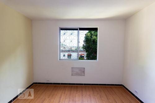 Apartamento Para Aluguel - Quintino Bocaiúva, 1 Quarto, 50 - 893308037