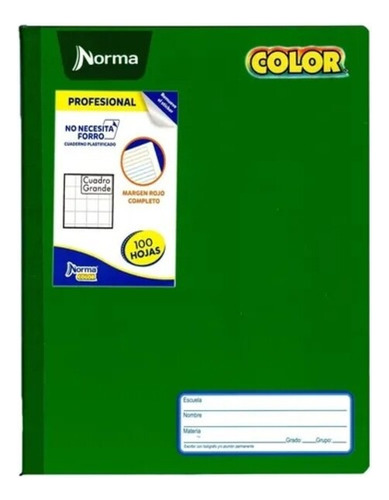 Cuaderno Profesional Norma 360 Color Cosido Liso 100 H Ry Verde