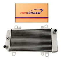 Comprar Radiador Kawasaki Ninja Ex250 250r 2008 2009 2010 A 2012