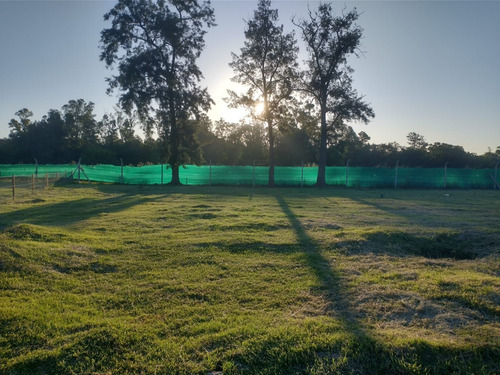 Imagen 10 de 21 de Lote En Barrio Semi - Cerrado 10x32.5 M2- Francisco Alvarez -venta Por Cesion