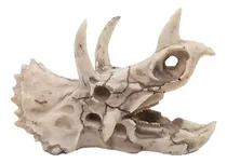 Comprar Decoración De La Pecera Del Reptil Del Desierto Decoración D