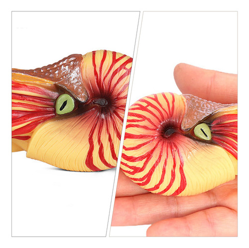 Adorno Simulado Con Forma De Nautilus, Modelo De Animal Mari