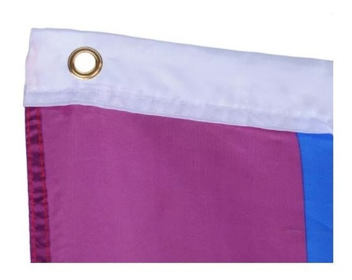 Imagen 4 de 5 de Bandera Lgbt Orgullo Gay 90 X 150 Cm