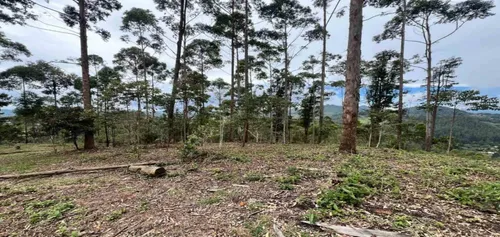 Lote En Venta Ubicado En El Retiro Sector Don Diego (26671).