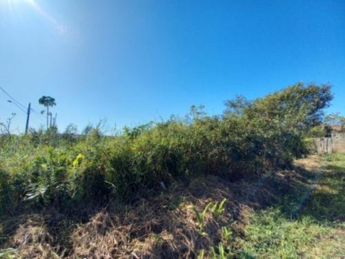 Imagem 3 de 3 de Lote Escriturado Na Praia De Itanhaém/sp! Analisa Ofertas A Vista!