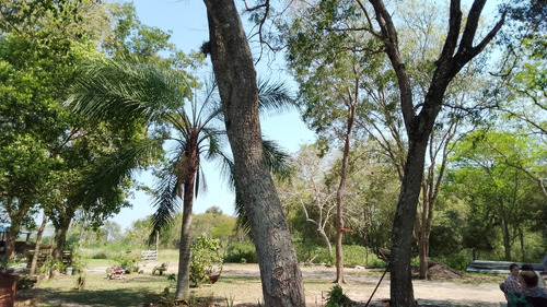 Quinta