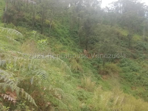 Imagen 8 de 14 de Ss: Vende Lote De Terreno 22-5448 En Las Minas San Antonio