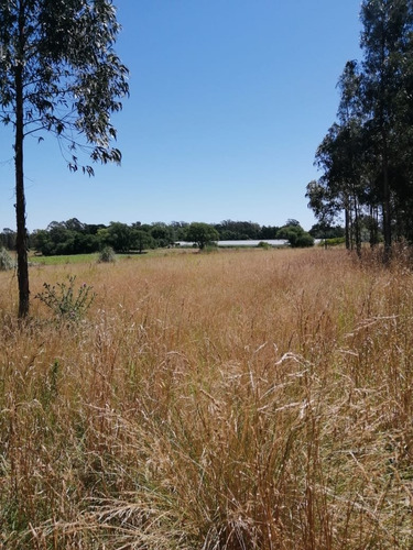 Venta Campo 5 Hectáreas Sierra De Los Padres