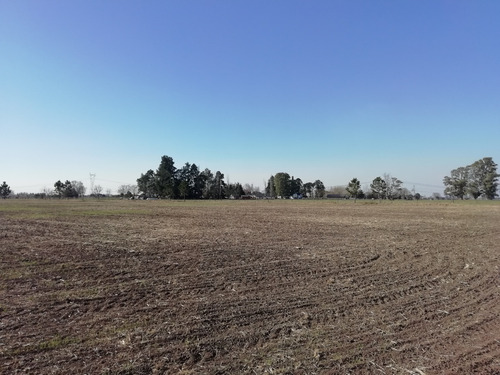 Imagen 4 de 8 de Campo En Venta - Alvear - Ideal Emprendimiento Inmobiliario U Otro