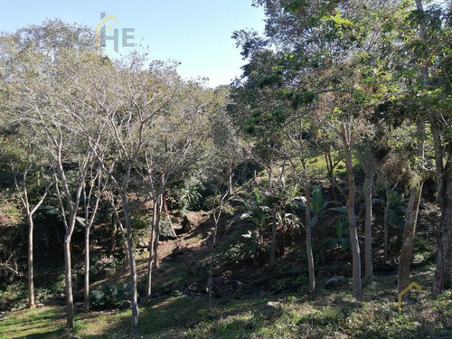Se Vende Terreno En La Concepción Veracruz