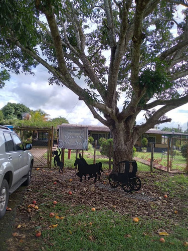 Imagen 9 de 9 de Se Vende Finca En Orocual Ve02-014zn-ic