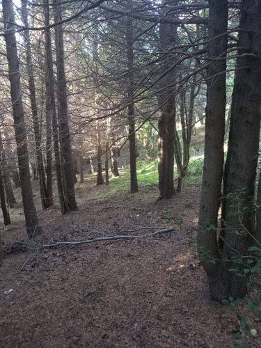 Imagen 4 de 9 de Fida Patagonia. Lote En Venta De 1326m2 Ubicado En San Martín De Los Andes