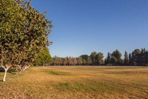 Imagen 1 de 8 de Lote - 1500m2 - Ruta 40 Antes De Calle 14