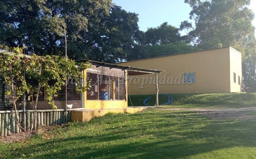 Imagen 3 de 8 de Chacra En Venta - Colonia Del Sacramento