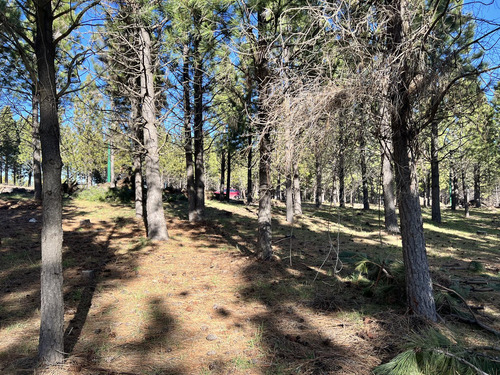 Terreno En Loteo Pine Zone