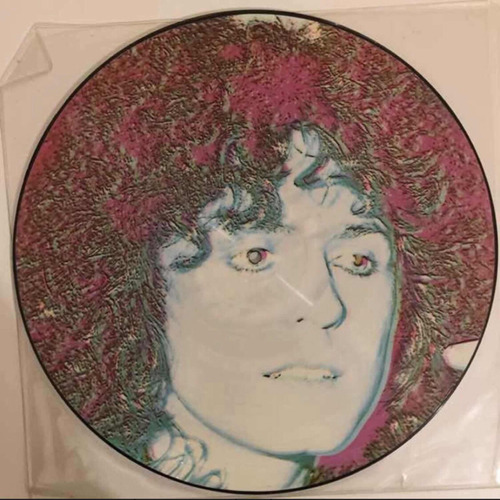 T Rex Across The Airwaves Picture Disc Vinilo Lp Importado