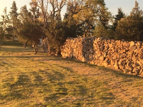 Chacra 3 Dormitorios En Pueblo Edén, Maldonado