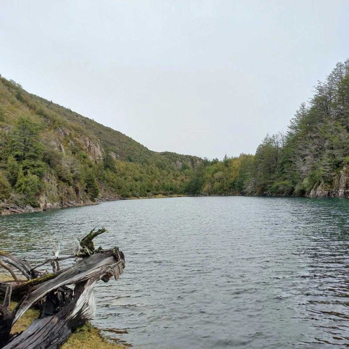 Venta De Terreno En Aysén, Lago Verde, Pata (27114)