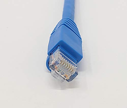 Cable De Conexión Ethernet Utp Cat 6a De 1 Pie Con Microcone